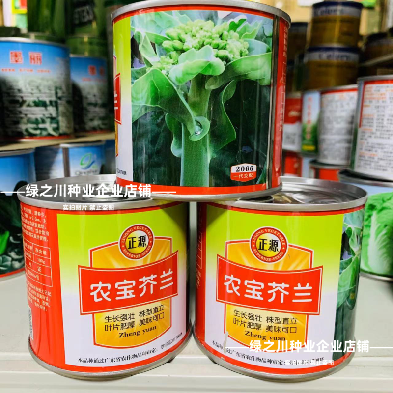 广东白花芥兰种子正源和利农蔬菜种籽农宝芥兰种子白花蜡粉少