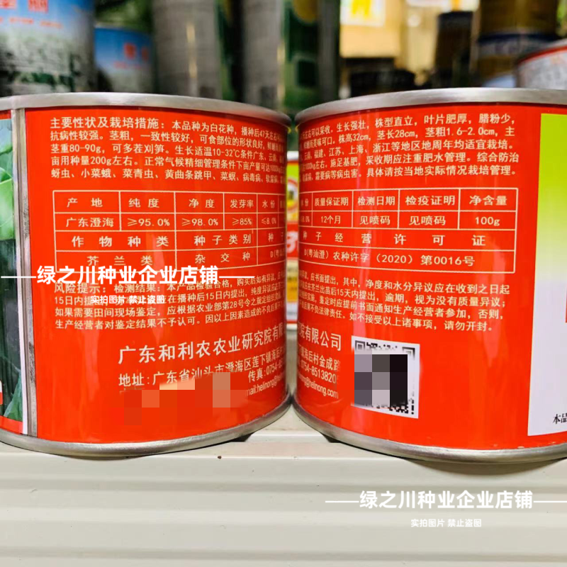 广东白花芥兰种子正源和利农蔬菜种籽农宝芥兰种子白花蜡粉少