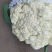 【荐】北松花菜大量上市货源充足质量好供应超市市场食堂