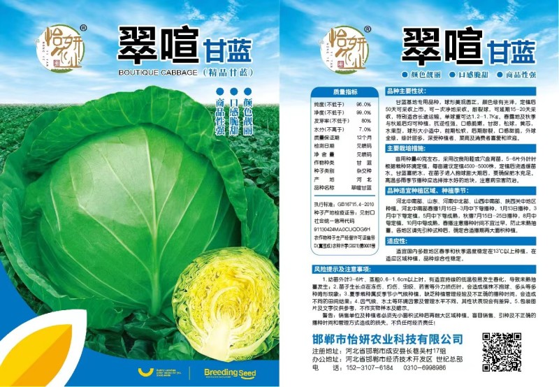 精品面包菜甘蓝种子绿叶黄心圆包菜种子全国可种植