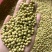 豆子青皮黄豆农家自产老品种天然25年新货过风机无杂质