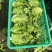 精品意大利生菜大量上市，欢迎电商老板来谈