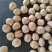 精品185核桃，全国发货，量大从优，物美价廉，诚信经营