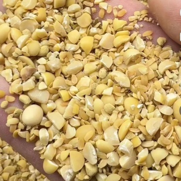 精品碎黄豆，质量保证，可以视屏看货，欢迎大家前来选购