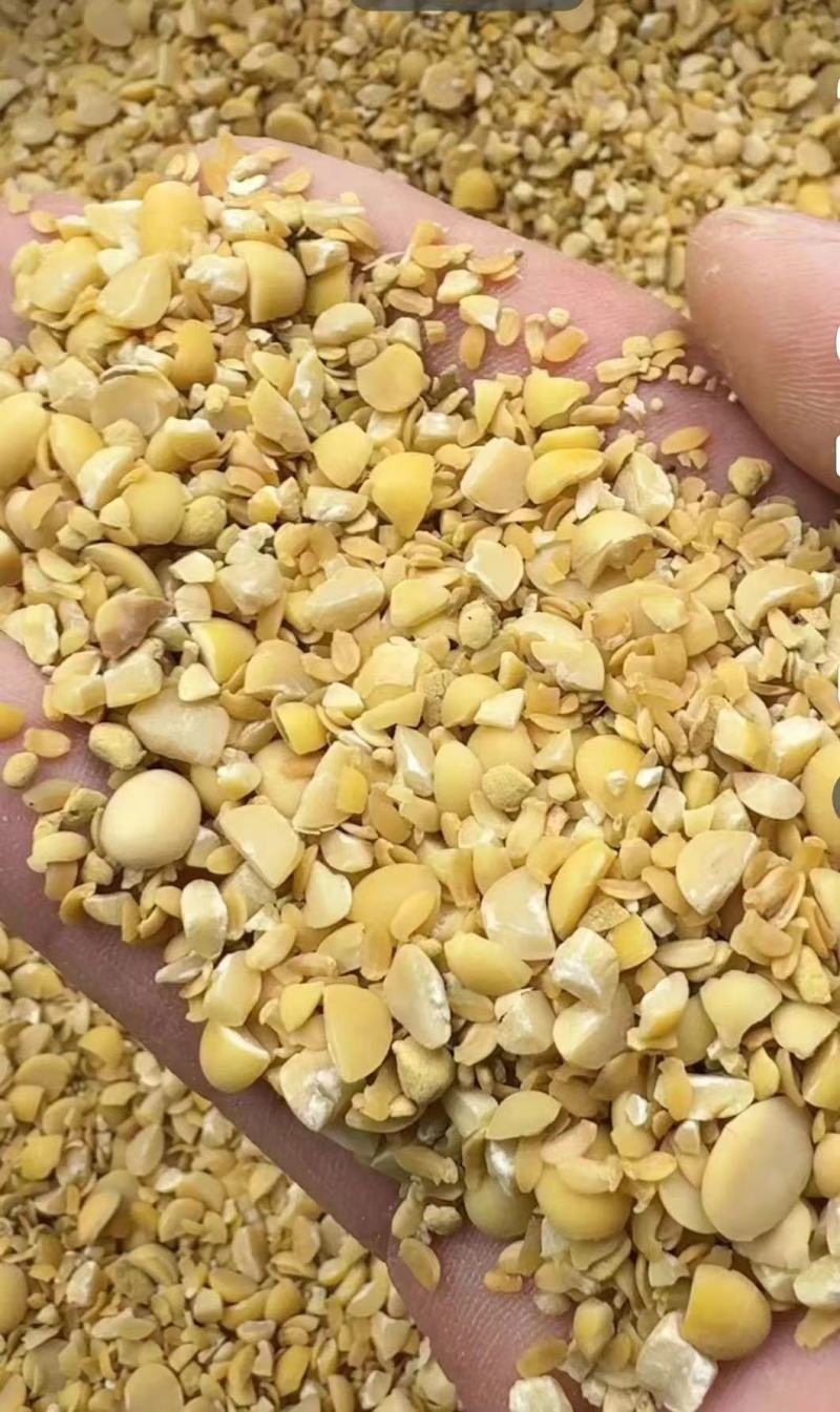 精品碎黄豆，质量保证，可以视屏看货，欢迎大家前来选购