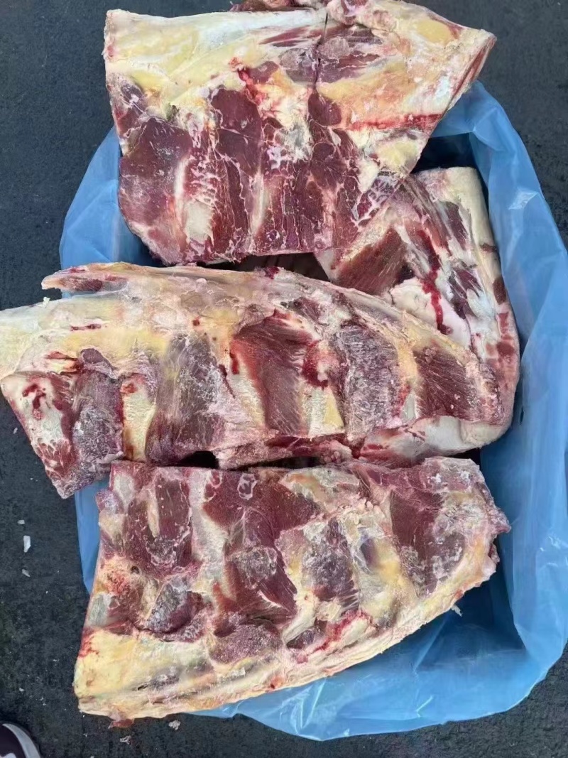 牛骨/牛小排也叫牛胸骨/厂家直发也免费加工剧段支持拿样