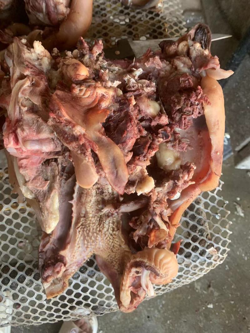 火燎牛头带口条，厂家直发常年有货支持拿样品质保证。