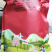 包邮【一斤500g】金骏眉红茶2024新茶浓香型嫩芽茶叶