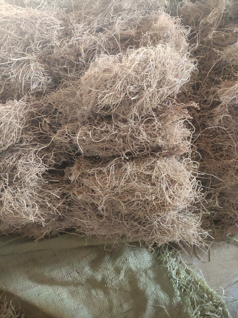 自家种植徐长卿大量出售产地直发品质保证欢迎联系
