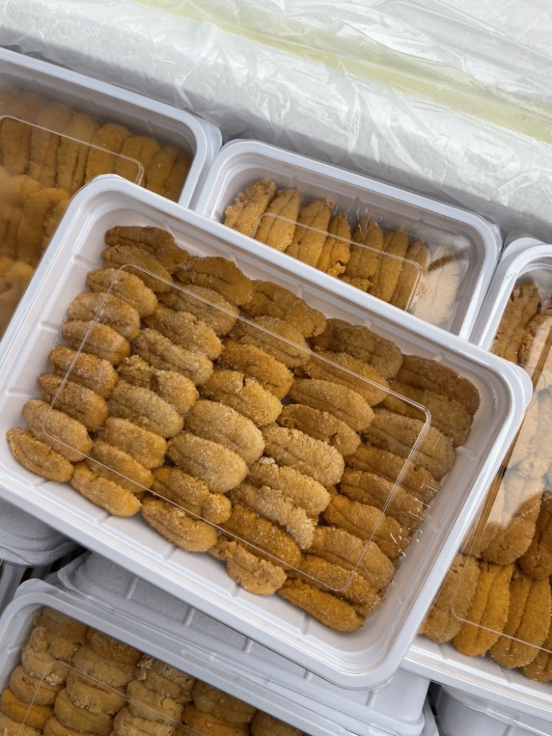 紫海胆，漂烫海胆，马粪胆，海胆