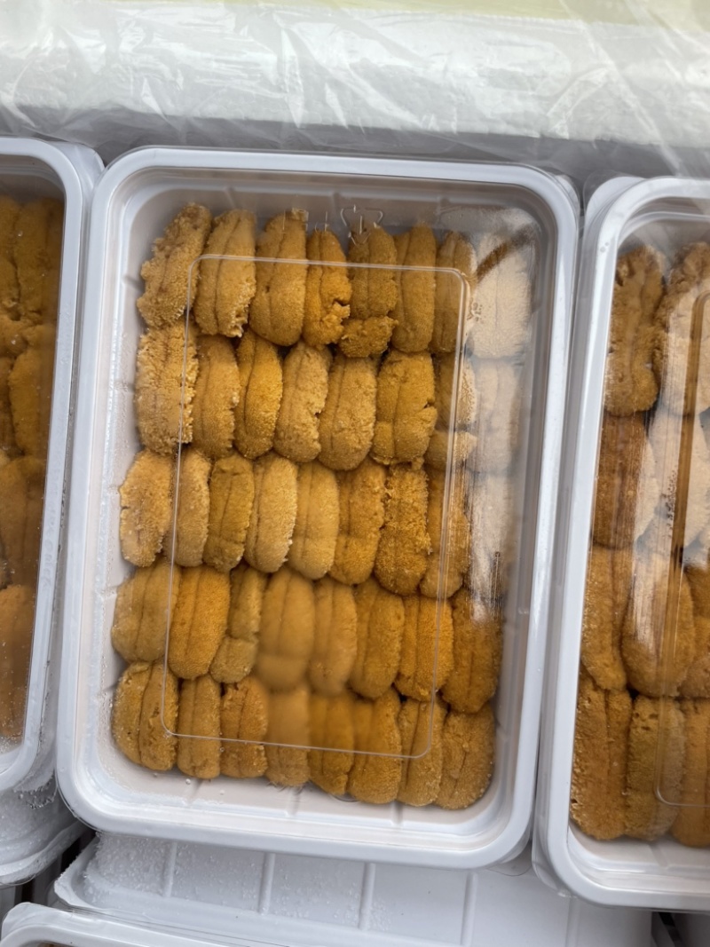 紫海胆，漂烫海胆，马粪胆，海胆