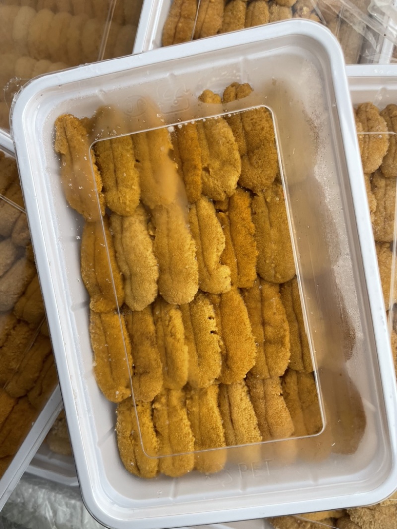 紫海胆，漂烫海胆，马粪胆，海胆