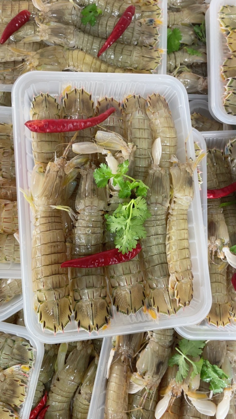 腌制皮皮虾、虾爬子、咕咕虾