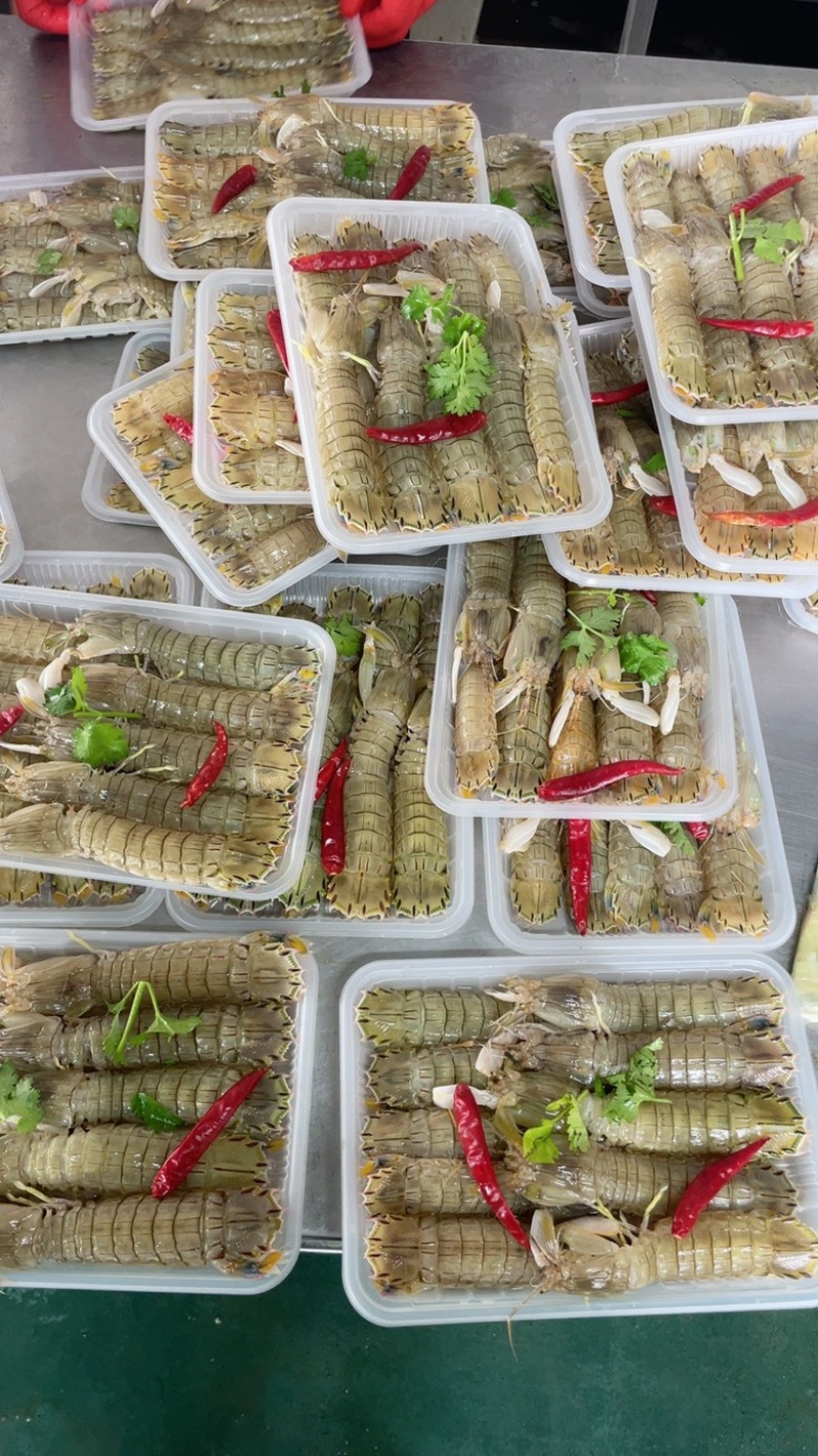 腌制皮皮虾、虾爬子、咕咕虾