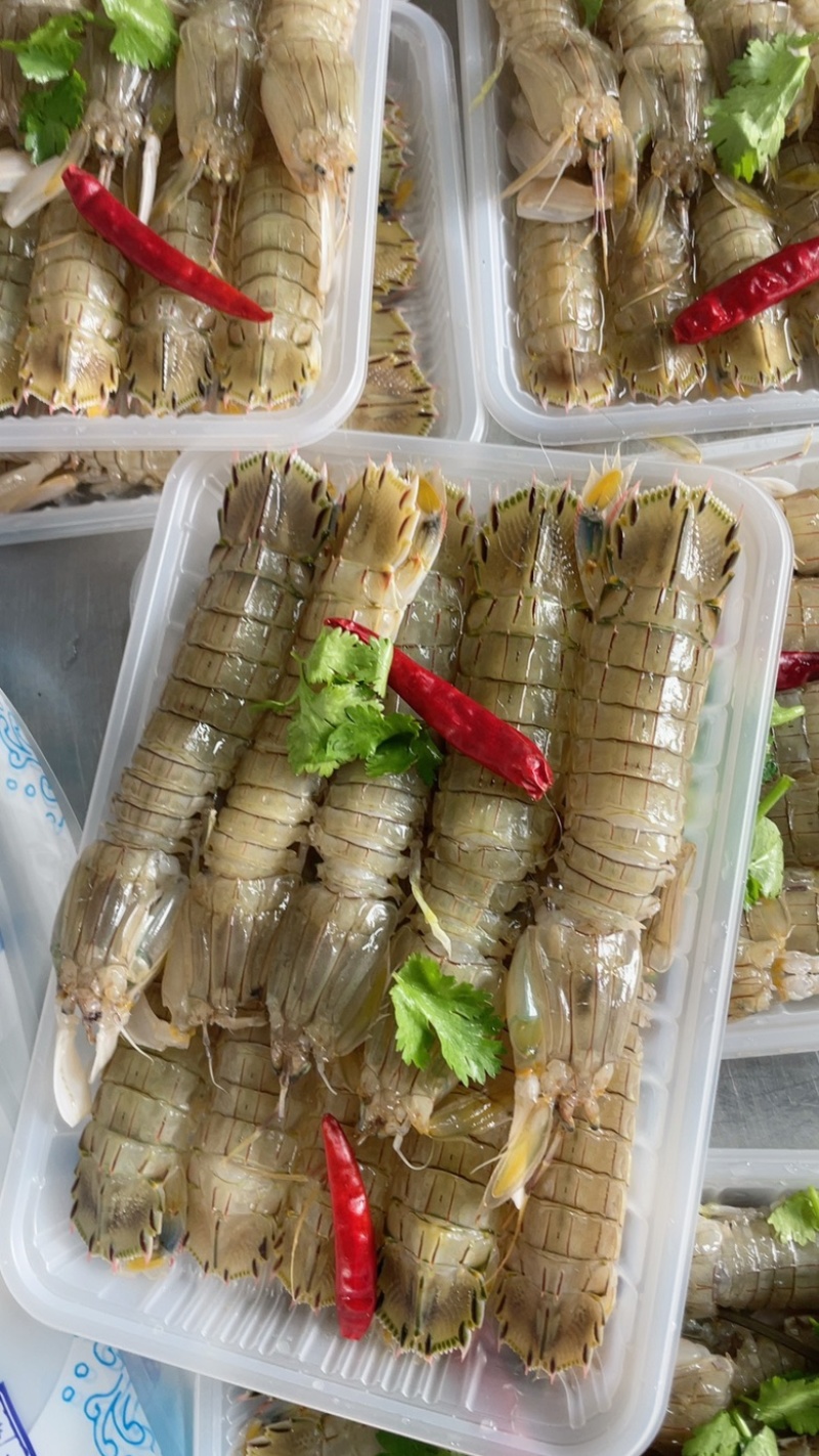 腌制皮皮虾、虾爬子、咕咕虾