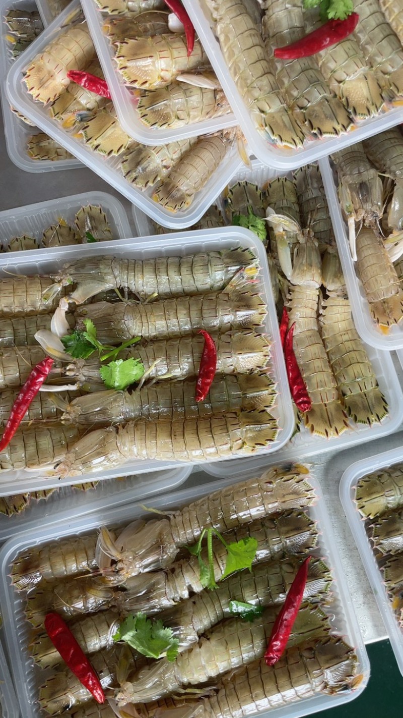 腌制皮皮虾、虾爬子、咕咕虾