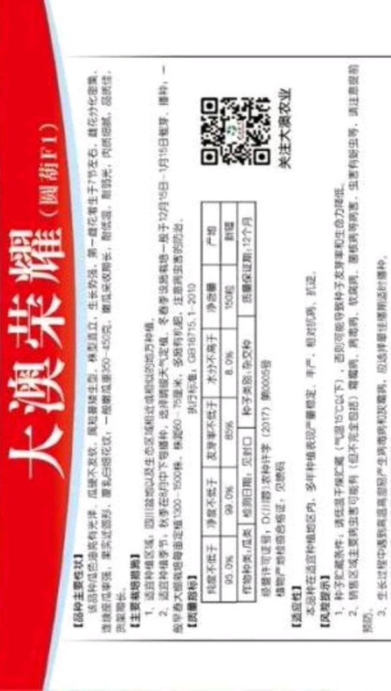 绿色圆西葫芦种子大澳荣耀早熟结瓜多青绿色抗病毒
