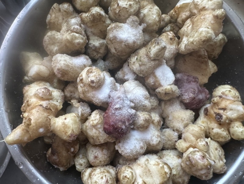 现挖现发新鲜洋姜鬼子姜菊芋独头多头