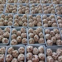 肚包肉，厂家直发，质量保证，可根据客户要求定制。