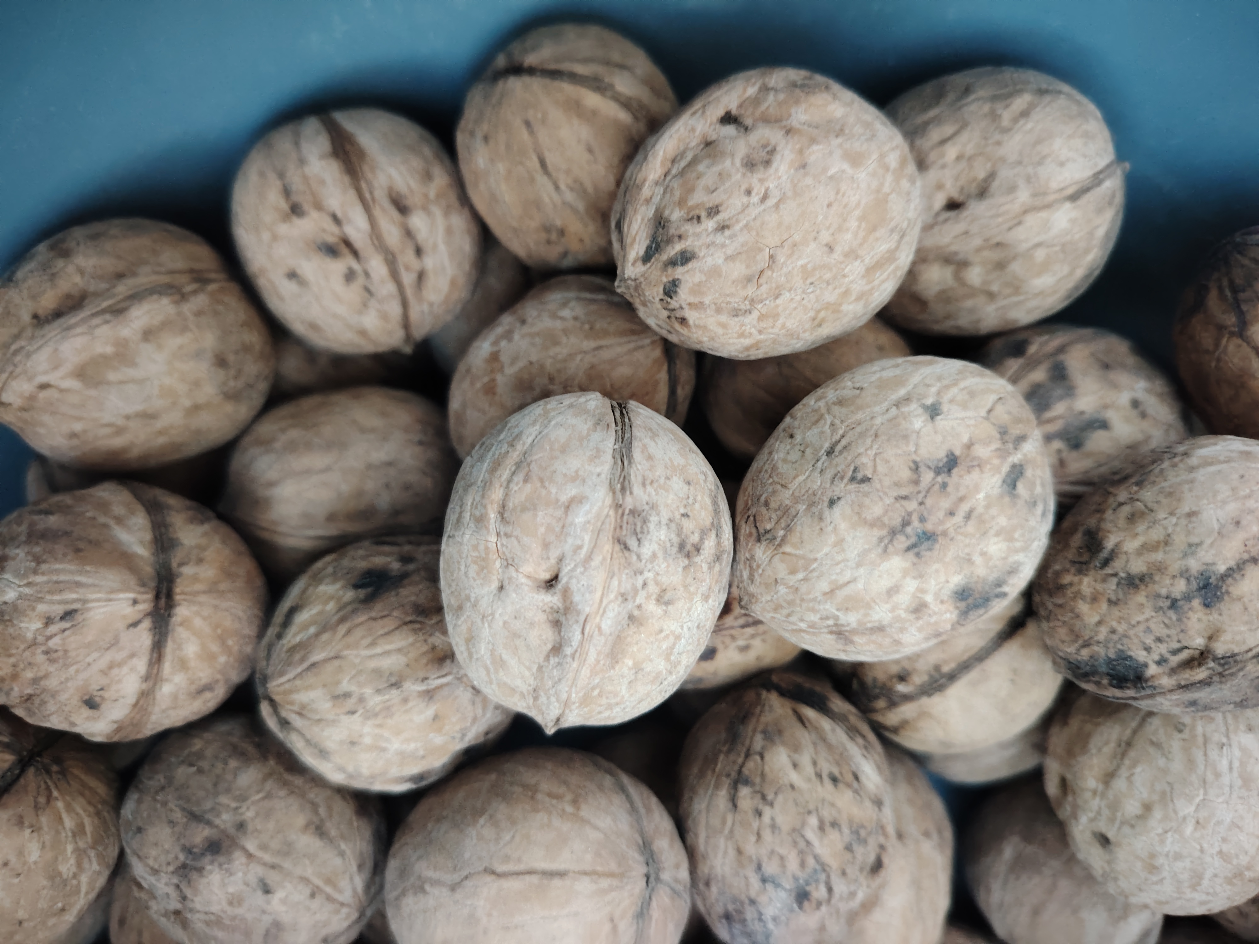 核桃牛奶搭配燕麦、蓝莓和坚果碎的早餐碗 核桃牛奶早餐搭配图