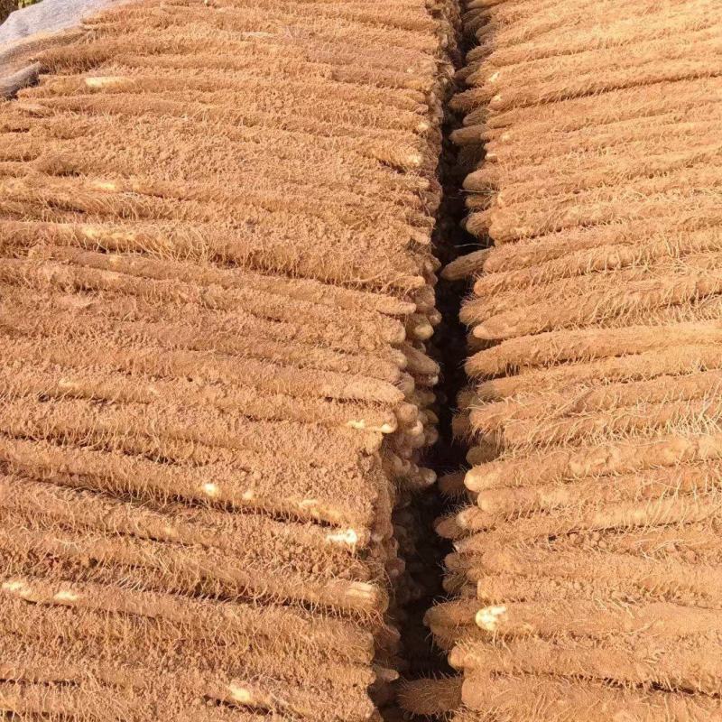 麻山药大量上市价格优惠一手货源支持视频看货欢迎采购