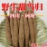 全网低价藏区高原干当归整根欢迎电话咨询营养丰富