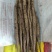 新鲜温县垆山药，当季直供，品质保证，**特惠，快来选购！