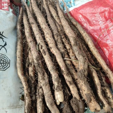 新鲜温县垆山药，当季直供，品质保证，**特惠，快来选购！