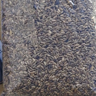 1万吨水飞蓟有普通质量的有特级