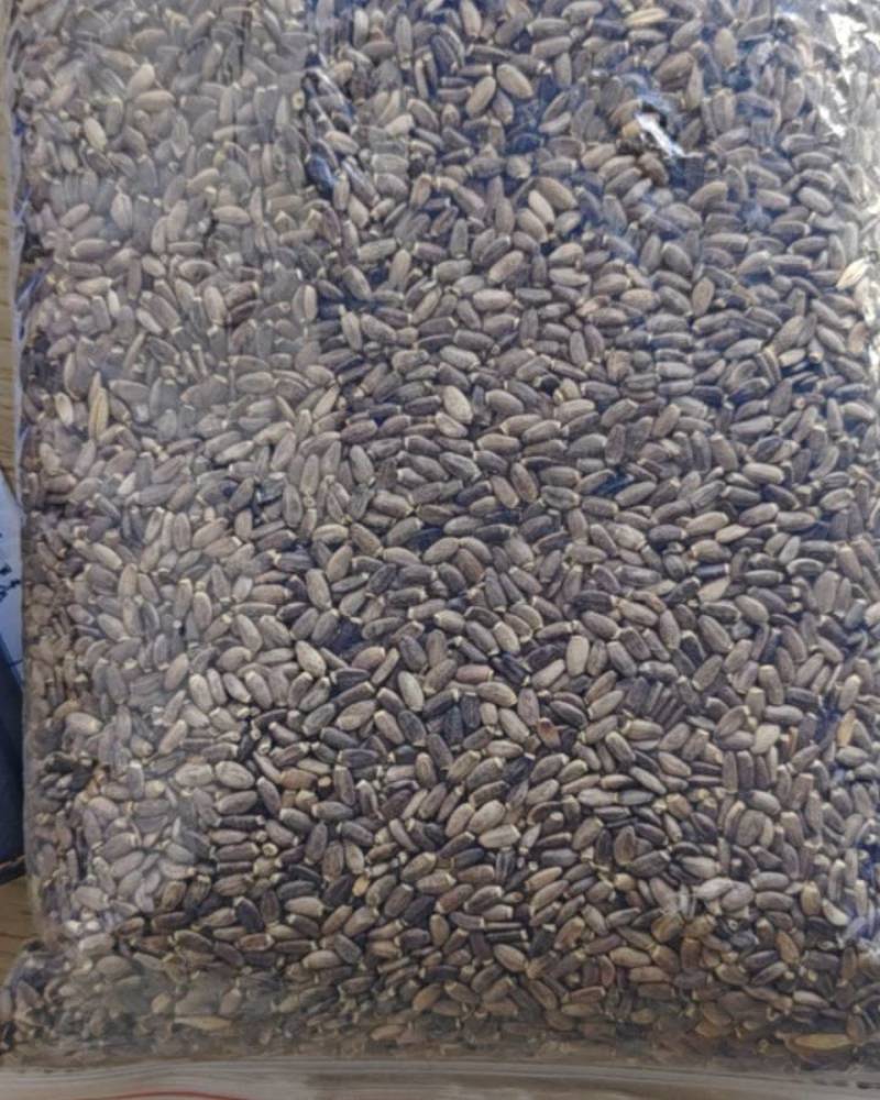 1万吨水飞蓟有普通质量的有特级
