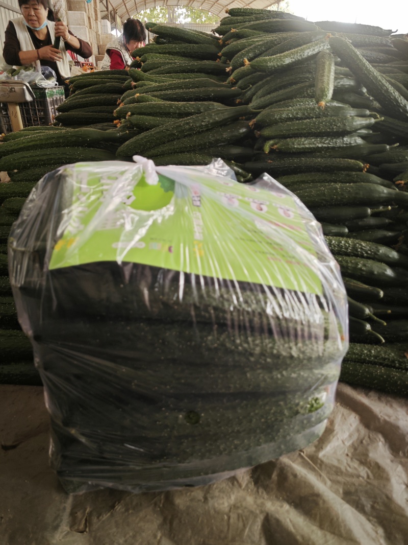 电商黄瓜、食堂黄瓜，原产地直发，质量有保证，大量供应