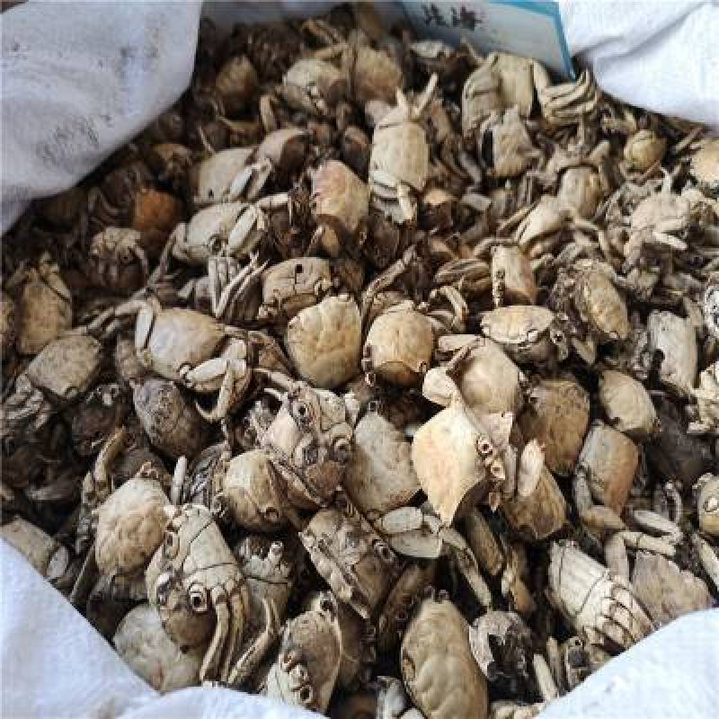 方海，螃蟹壳，螃蟹甲，现货，实拍24小时内发货