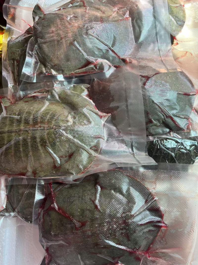 活甲鱼现杀，批发代加工，卤甲鱼，大排档，饭店可用
