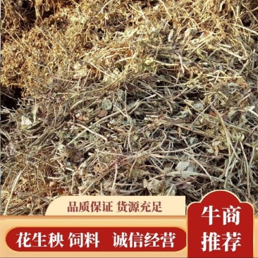 花生秧草牛羊饲料一手货源常年批发供应可视频看货