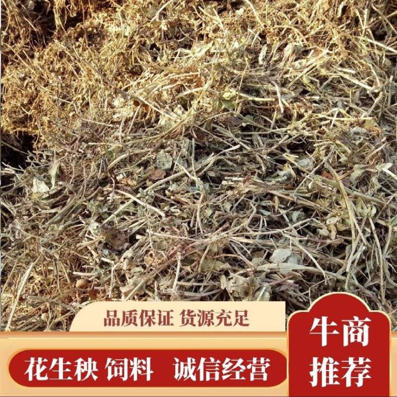 花生秧草牛羊饲料一手货源常年批发供应可视频看货