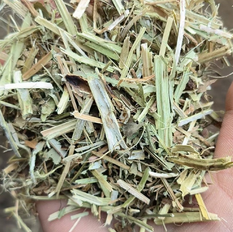 花生秧草牛羊饲料一手货源常年批发供应可视频看货