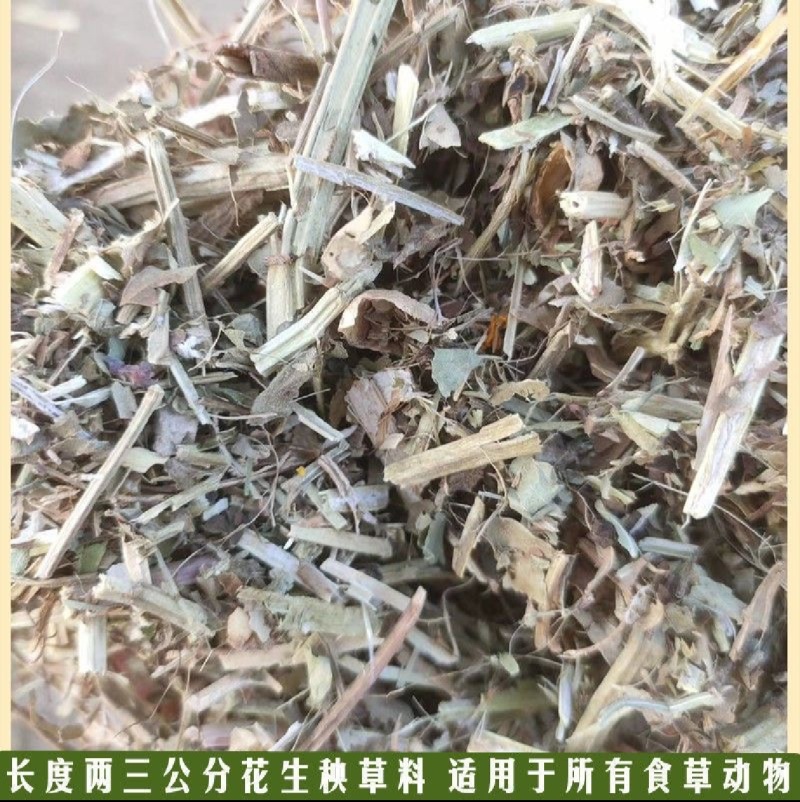 花生秧草牛羊饲料一手货源常年批发供应可视频看货