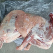 烧烤小肥肉，厂家直发，质量保证规格20斤一25斤左右。
