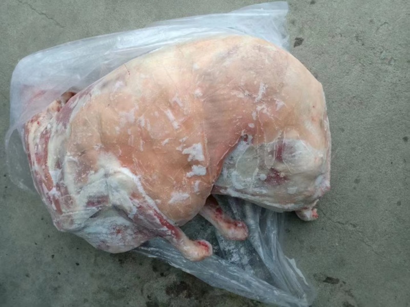 烧烤小肥肉，厂家直发，质量保证规格20斤一25斤左右。