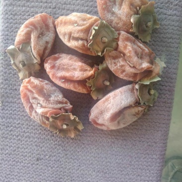 陕西富平县柿饼