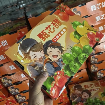多彩小番茄，圣女果高端礼盒，产地直采直发，周期长货源稳定