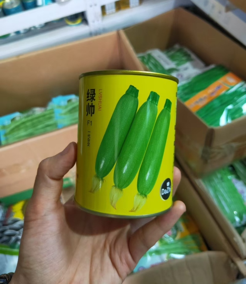 大志绿帅西葫芦种子农户种植户大面积种植蔬菜种子