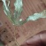 金鸡脚需要的下单