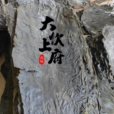 大钦上府海带大板