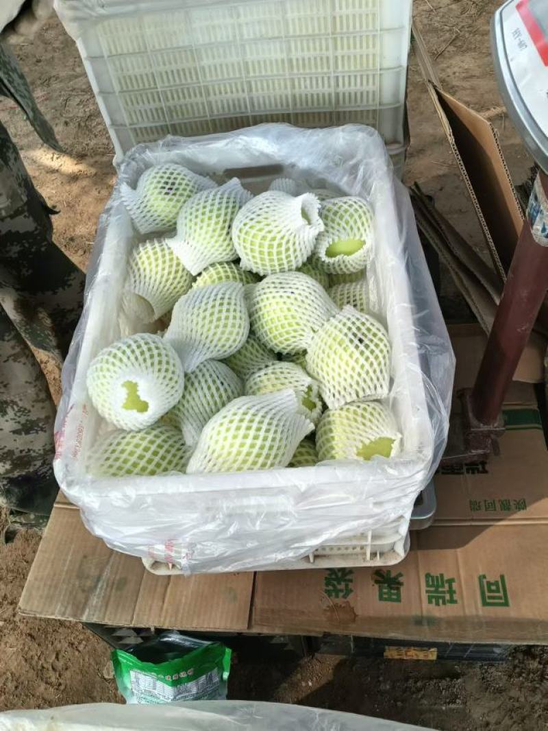 高原上瑞雪苹果，货源充足，果面细腻，果肉脆甜爽口，直甜