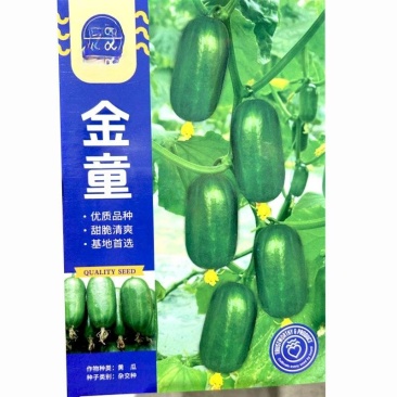 水果黄瓜种子金童早熟无刺生吃脆绿节节有瓜耐热抗寒