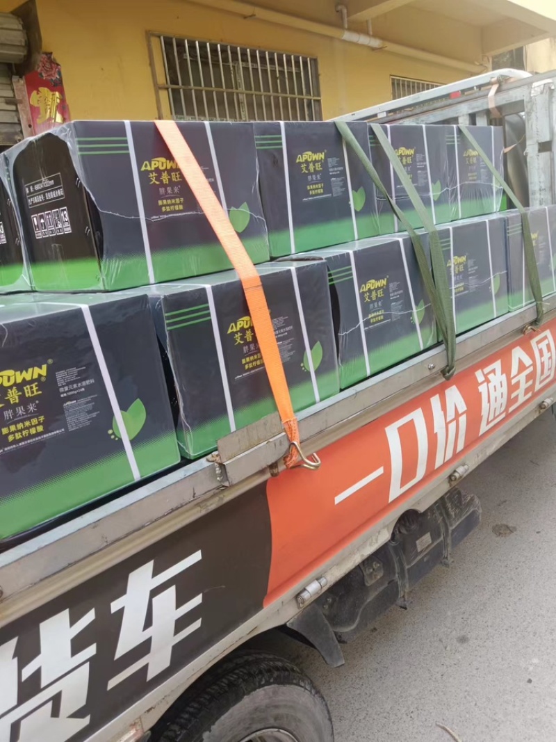 胖果来