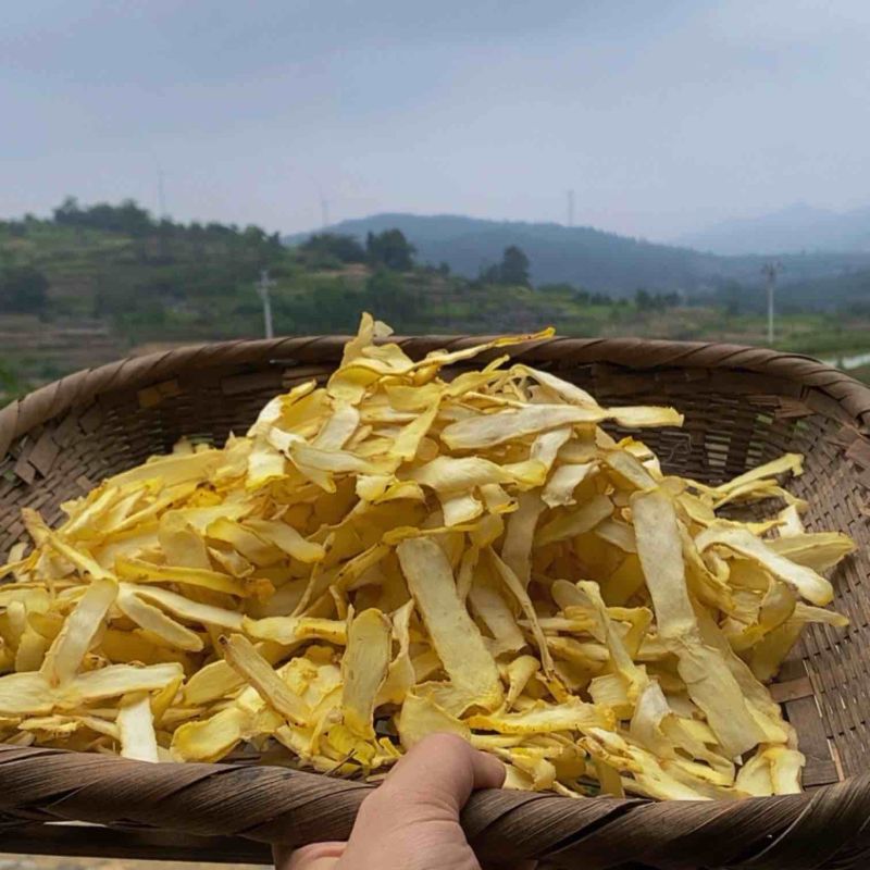 湖南湘玉竹桂阳玉竹
