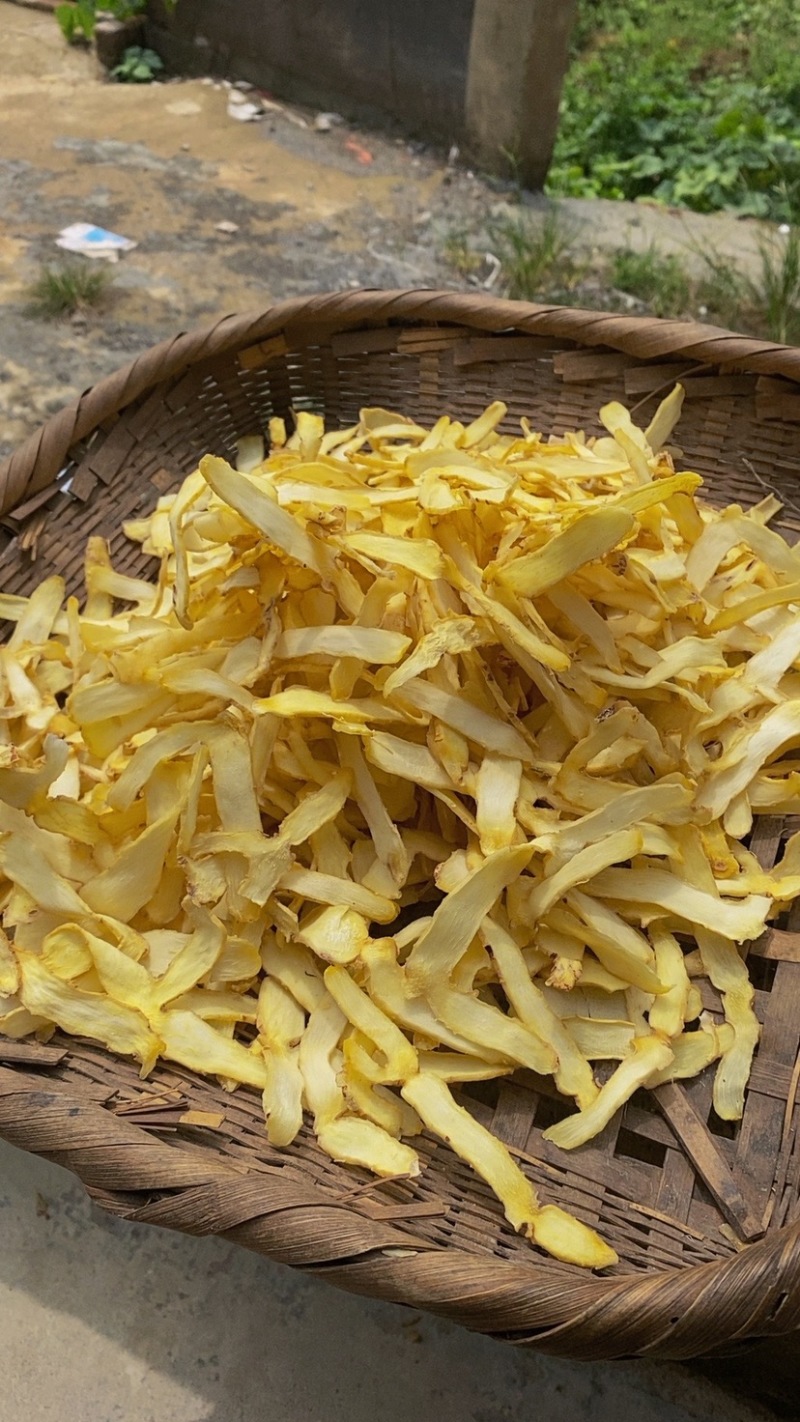 湖南湘玉竹桂阳玉竹
