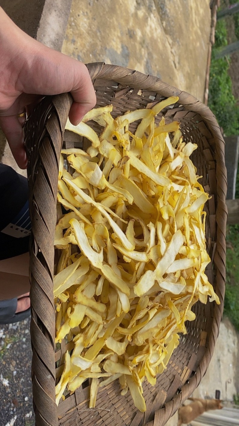 湖南湘玉竹桂阳玉竹